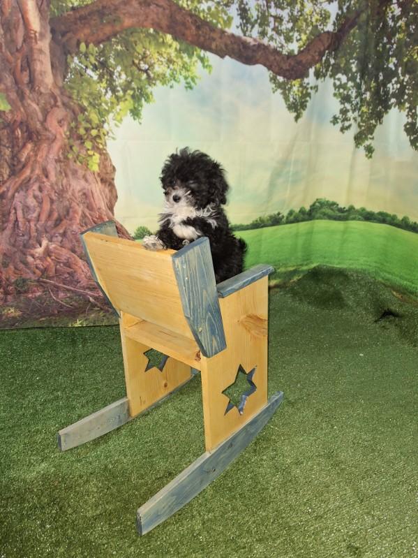 Kids Rocking Chair